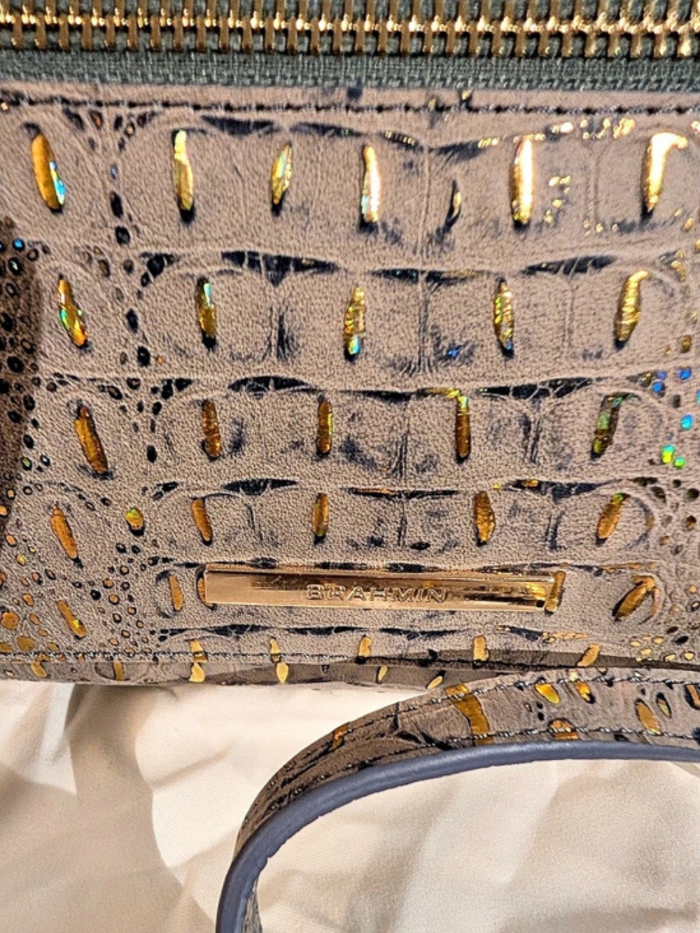 Brahmin Vida-Regal Mini Melbourne Crossbody Bag NWT - Picture 4 of 16